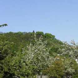 Radebeul Weinberge Wanderweg